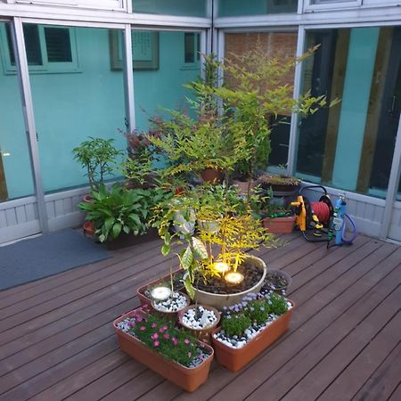 Dal Garam Guesthouse Gangneung Eksteriør billede