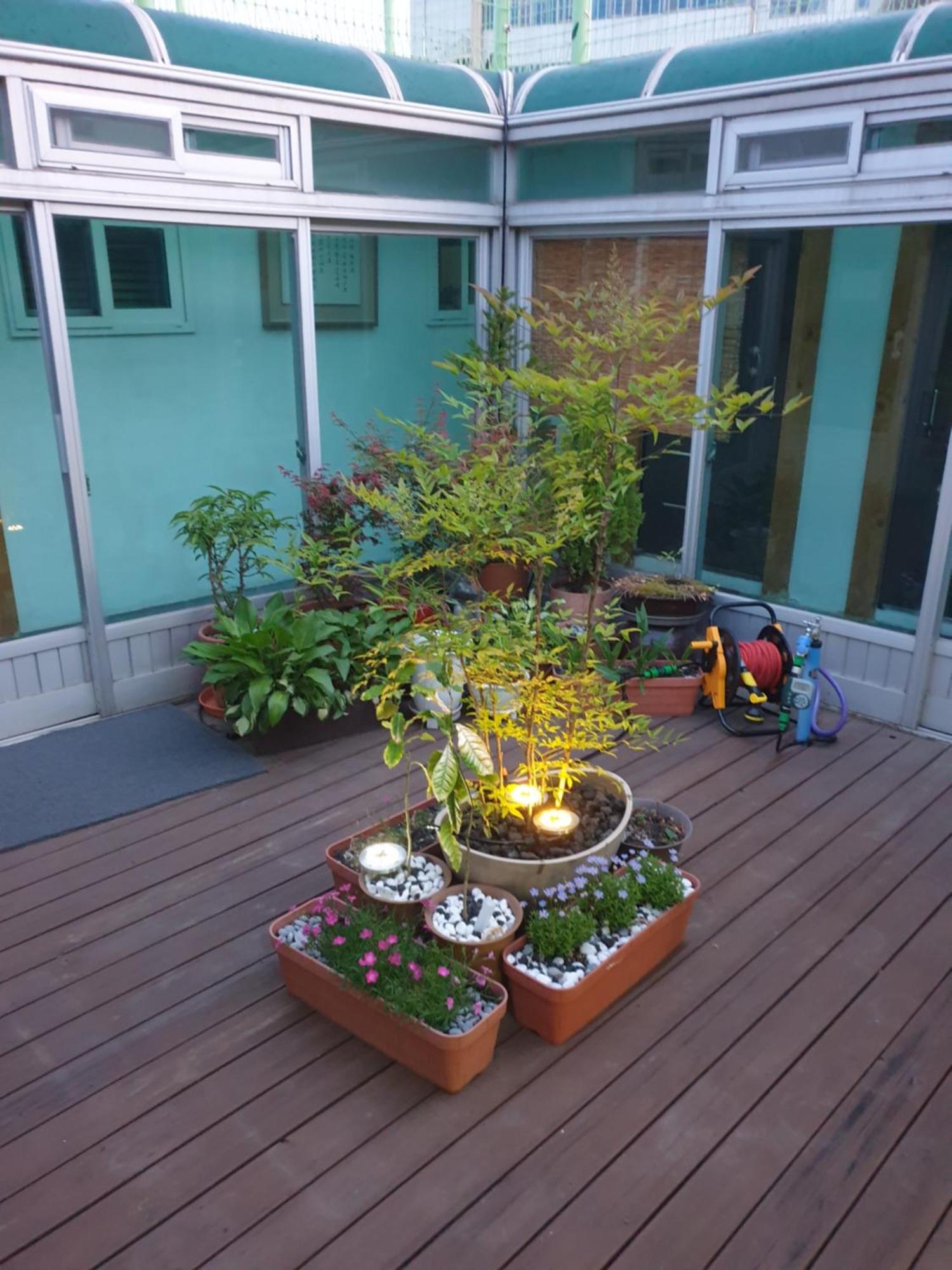 Dal Garam Guesthouse Gangneung Eksteriør billede