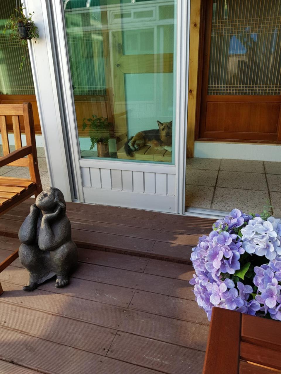 Dal Garam Guesthouse Gangneung Eksteriør billede